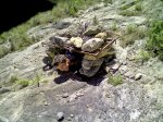 PIC-0114.jpg