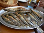 Mariscada en Vigo y vuelta a Gandia (15).jpg