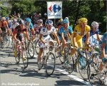tdf09st15eh-jaune[1].jpg