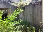 18072009962.jpg