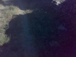 19072009987.jpg