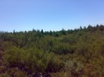 190720091000.jpg