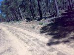 190720091007.jpg