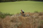 DSC_4154.JPG