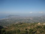 m_IMG_9013.jpg