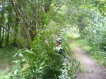 DSC00542.jpg