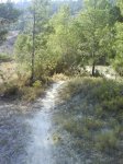 DSC07694.jpg