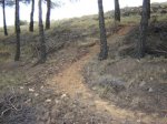DSC00782.JPG