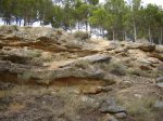 DSC00787.JPG