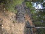 DSC00775.JPG
