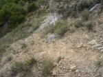 DSC00790.JPG
