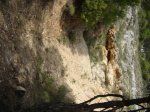 DSC00767.JPG