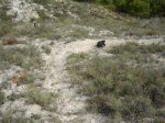 DSC00762.JPG