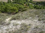 DSC00758.JPG