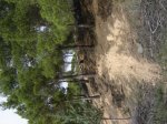 DSC00756.JPG