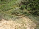 DSC00750.JPG