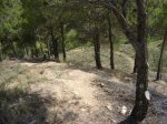DSC00746.JPG