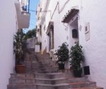 ojen escaleras.jpg
