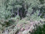 20072009(001).jpg