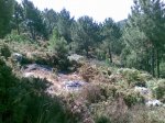 20072009(002).jpg