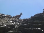 mulhacen_btt 0322.jpg