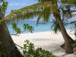 beach_vacation-dsc04620[1].jpg