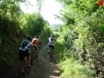 foromtb_image_19jul_01_num.jpg