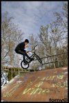 gobarspin.jpg