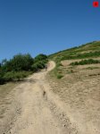 foromtb_image_19jul_08_num.jpg