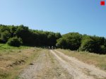 foromtb_image_19jul_09_num.jpg