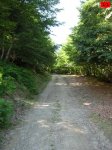 foromtb_image_19jul_11_num.jpg