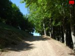 foromtb_image_19jul_12_num.jpg