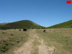 foromtb_image_19jul_14_num.jpg