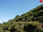 foromtb_image_19jul_22_num.jpg