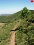 foromtb_image_19jul_24_num.jpg