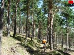 foromtb_image_19jul_26_num.jpg