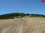 foromtb_image_19jul_27_num.jpg
