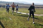 DSC08353.JPG
