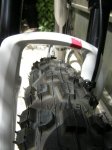 Bici (2).jpg