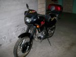 honda2.jpg