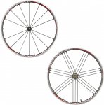 campy-shamel2way-zoom.jpg