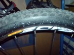 DSC01069.jpg