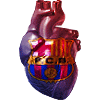 fc_barcelona_gra.gif