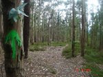 DSC03895.jpg