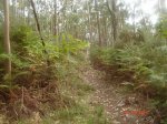 DSC03894.jpg