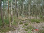 DSC03891.jpg