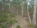 DSC03896.jpg