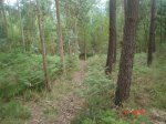 DSC03892.jpg