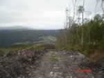 DSC03842.jpg
