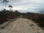 DSC03847.jpg